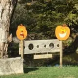 Old McDonald's Pumpkin Patch & Corn Maze photo