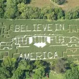 Old McDonald's Pumpkin Patch & Corn Maze photo