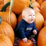 Old McDonald's Pumpkin Patch & Corn Maze photo