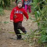 Old McDonald's Pumpkin Patch & Corn Maze photo