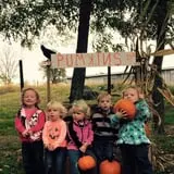 Old McDonald's Pumpkin Patch & Corn Maze photo