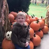 Old McDonald's Pumpkin Patch & Corn Maze photo