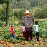 Old McDonald's Pumpkin Patch & Corn Maze photo