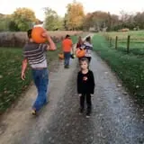 Old McDonald's Pumpkin Patch & Corn Maze photo