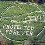Old McDonald's Pumpkin Patch & Corn Maze photo