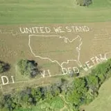 Old McDonald's Pumpkin Patch & Corn Maze photo