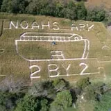 Old McDonald's Pumpkin Patch & Corn Maze photo