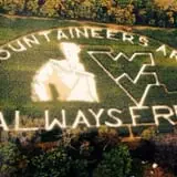 Old McDonald's Pumpkin Patch & Corn Maze photo