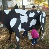 Old McDonald's Pumpkin Patch & Corn Maze photo
