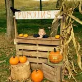 Old McDonald's Pumpkin Patch & Corn Maze photo
