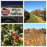 Mack's Apples Farm photo