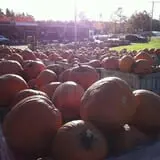 Mack's Apples Farm photo