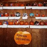 Mack's Apples Farm photo