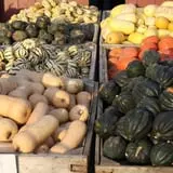 Mack's Apples Farm photo