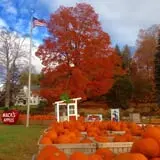 Mack's Apples Farm photo