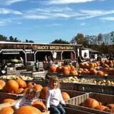 Mack's Apples Farm photo