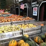 Mack's Apples Farm photo