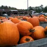 Mack's Apples Farm photo