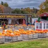 Mack's Apples Farm photo