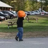 Mack's Apples Farm photo
