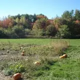 Mack's Apples Farm photo