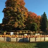 Mack's Apples Farm photo