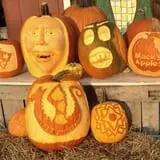 Mack's Apples Farm photo