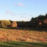 Mack's Apples Farm photo