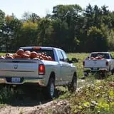 Mack's Apples Farm photo
