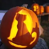 Mack's Apples Farm photo