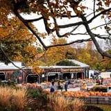 Mack's Apples Farm photo