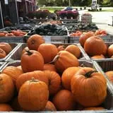 Mack's Apples Farm photo
