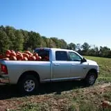 Mack's Apples Farm photo