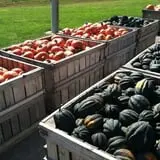 Mack's Apples Farm photo