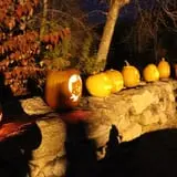 Mack's Apples Farm photo