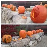 Mack's Apples Farm photo