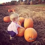 Mack's Apples Farm photo