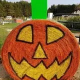Country Bumpkin Farm Fall Family Fun photo