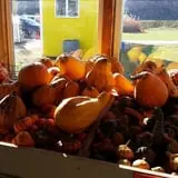 Country Bumpkin Farm Fall Family Fun photo