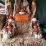 Country Bumpkin Farm Fall Family Fun photo