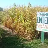 Country Bumpkin Farm Fall Family Fun photo