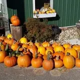 Country Bumpkin Farm Fall Family Fun photo