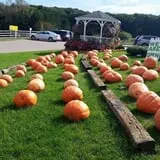 Country Bumpkin Farm Fall Family Fun photo