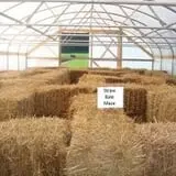 Country Bumpkin Farm Fall Family Fun photo