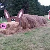 Country Bumpkin Farm Fall Family Fun photo