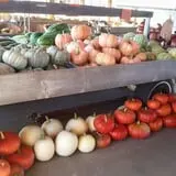Country Bumpkin Farm Fall Family Fun photo