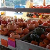 Country Bumpkin Farm Fall Family Fun photo