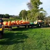 Country Bumpkin Farm Fall Family Fun photo