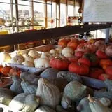 Country Bumpkin Farm Fall Family Fun photo