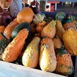 Country Bumpkin Farm Fall Family Fun photo